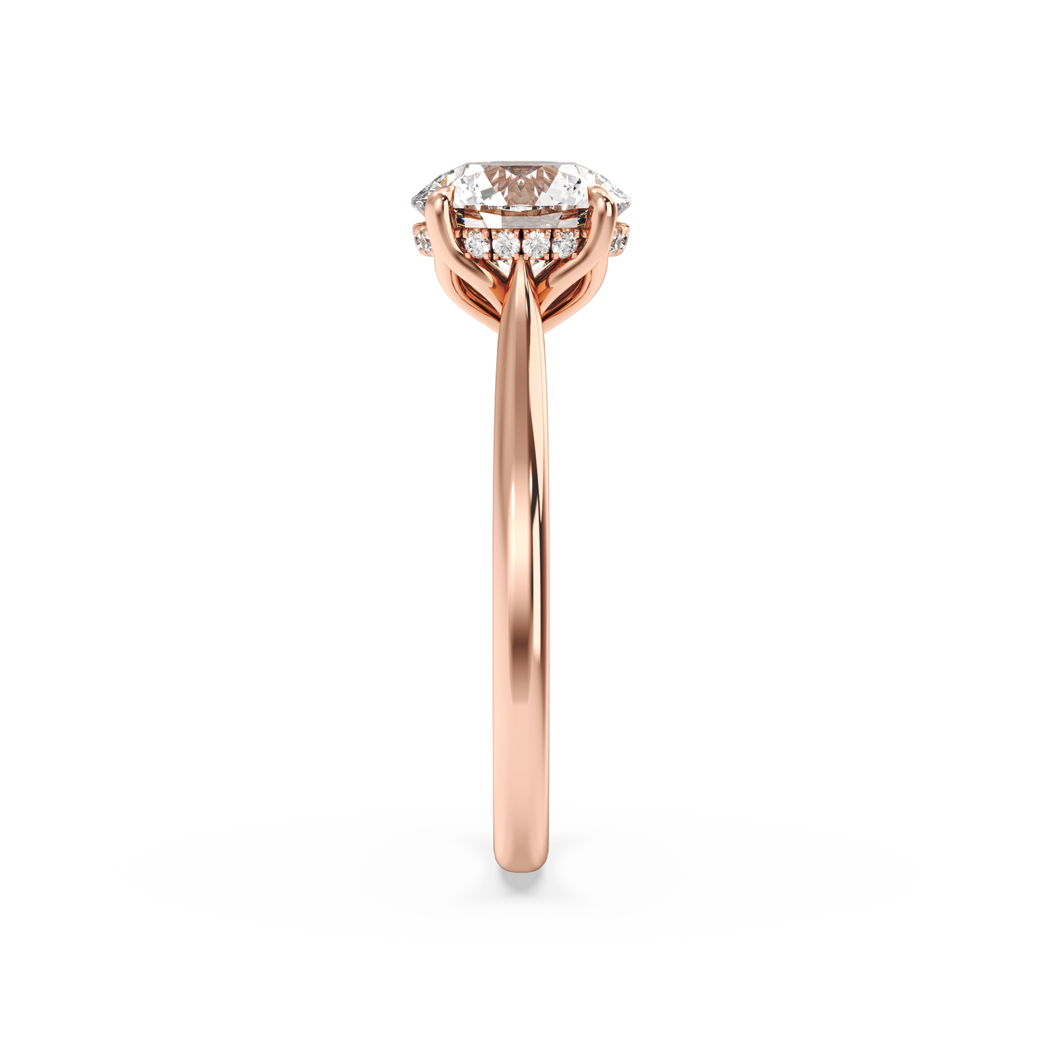 rose-round
