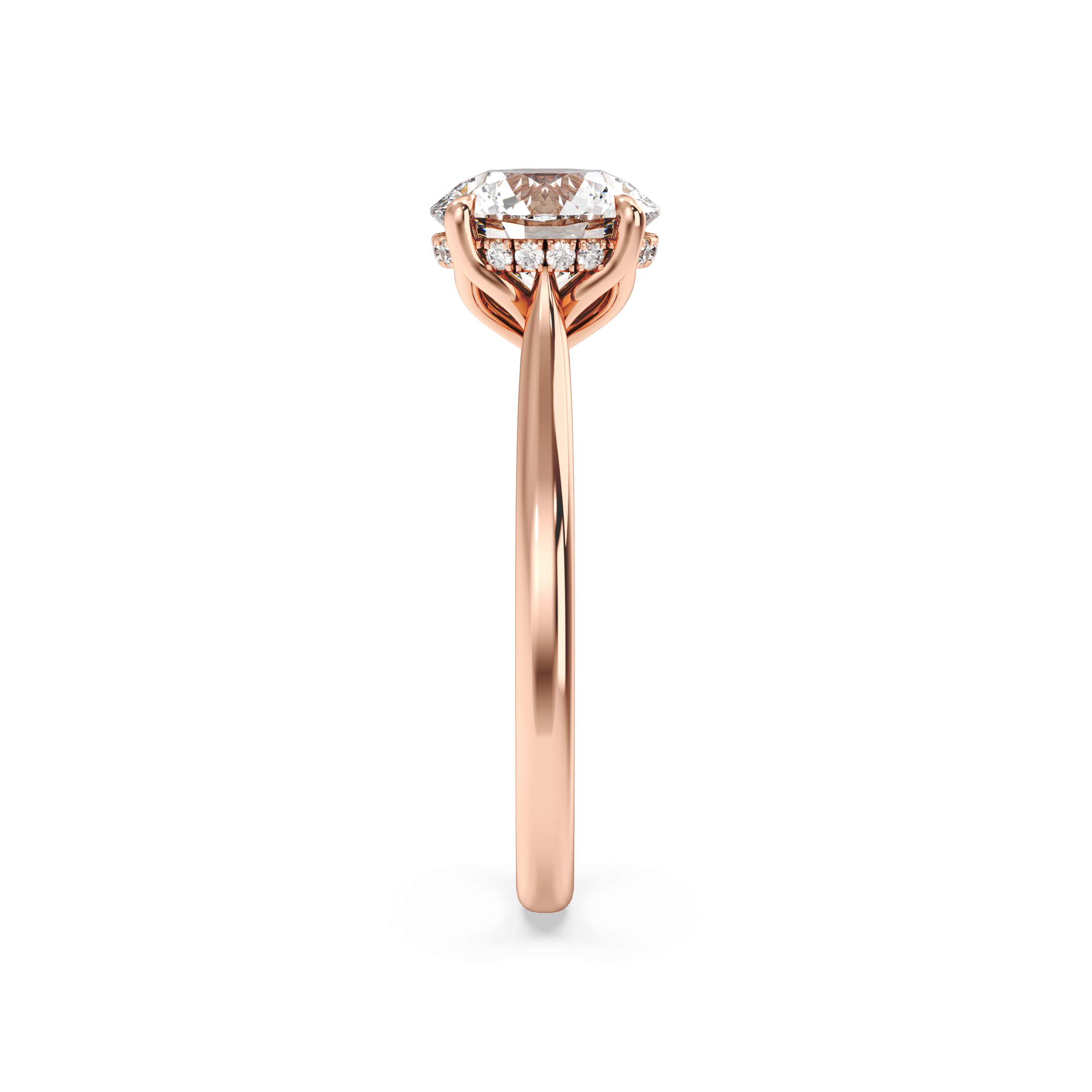 rose-round