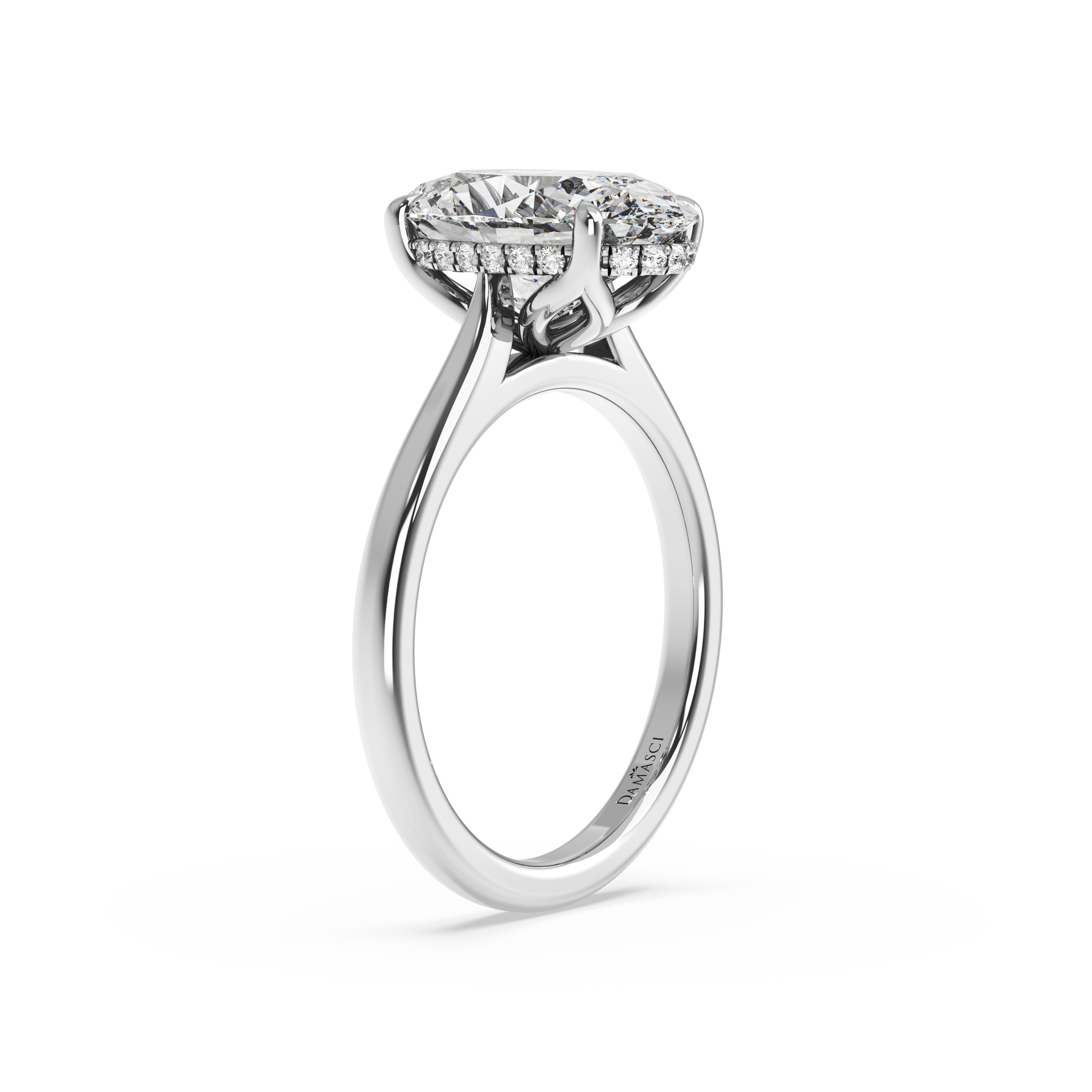 white-oval