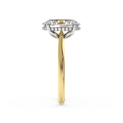 whiteyellow-oval