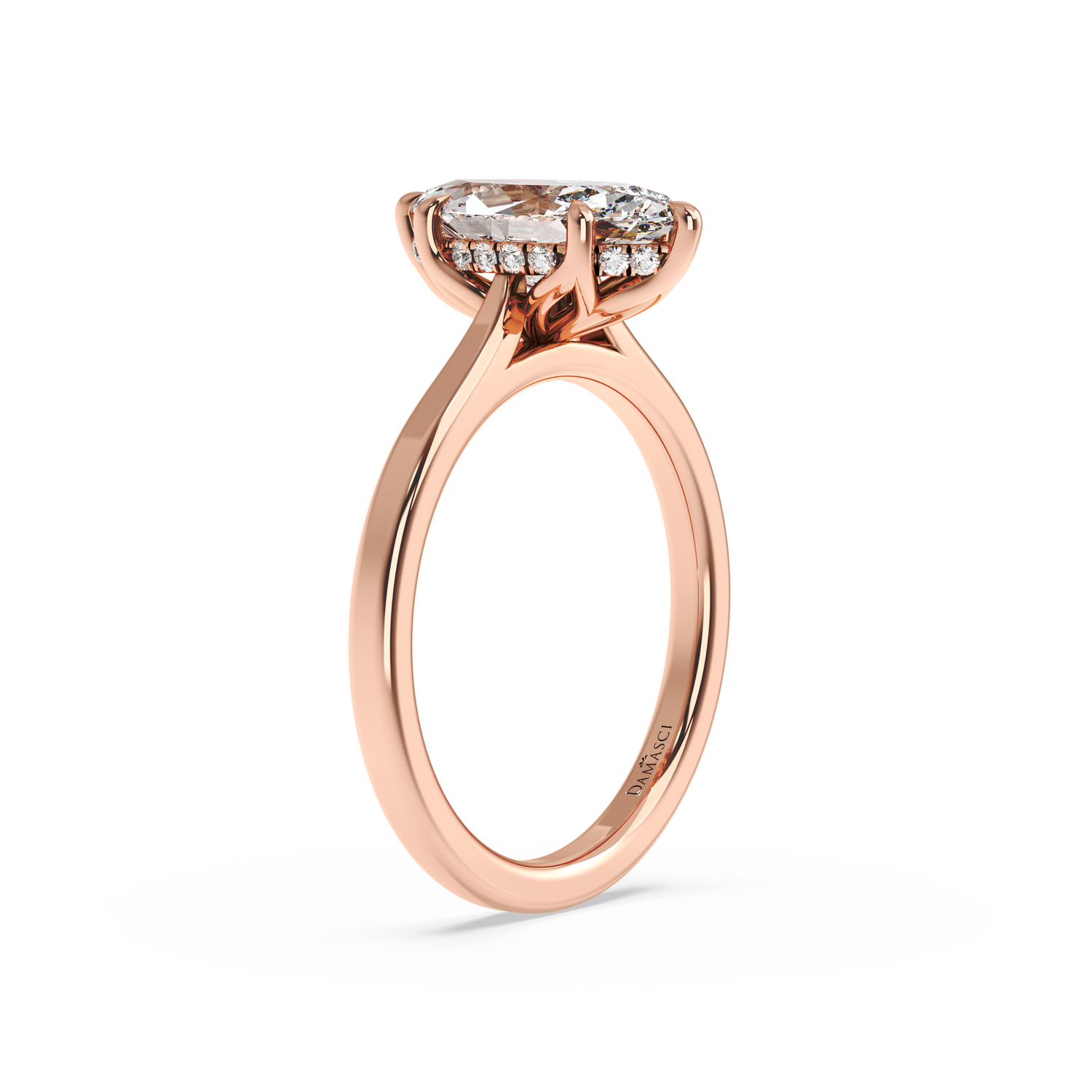 rose-marquise