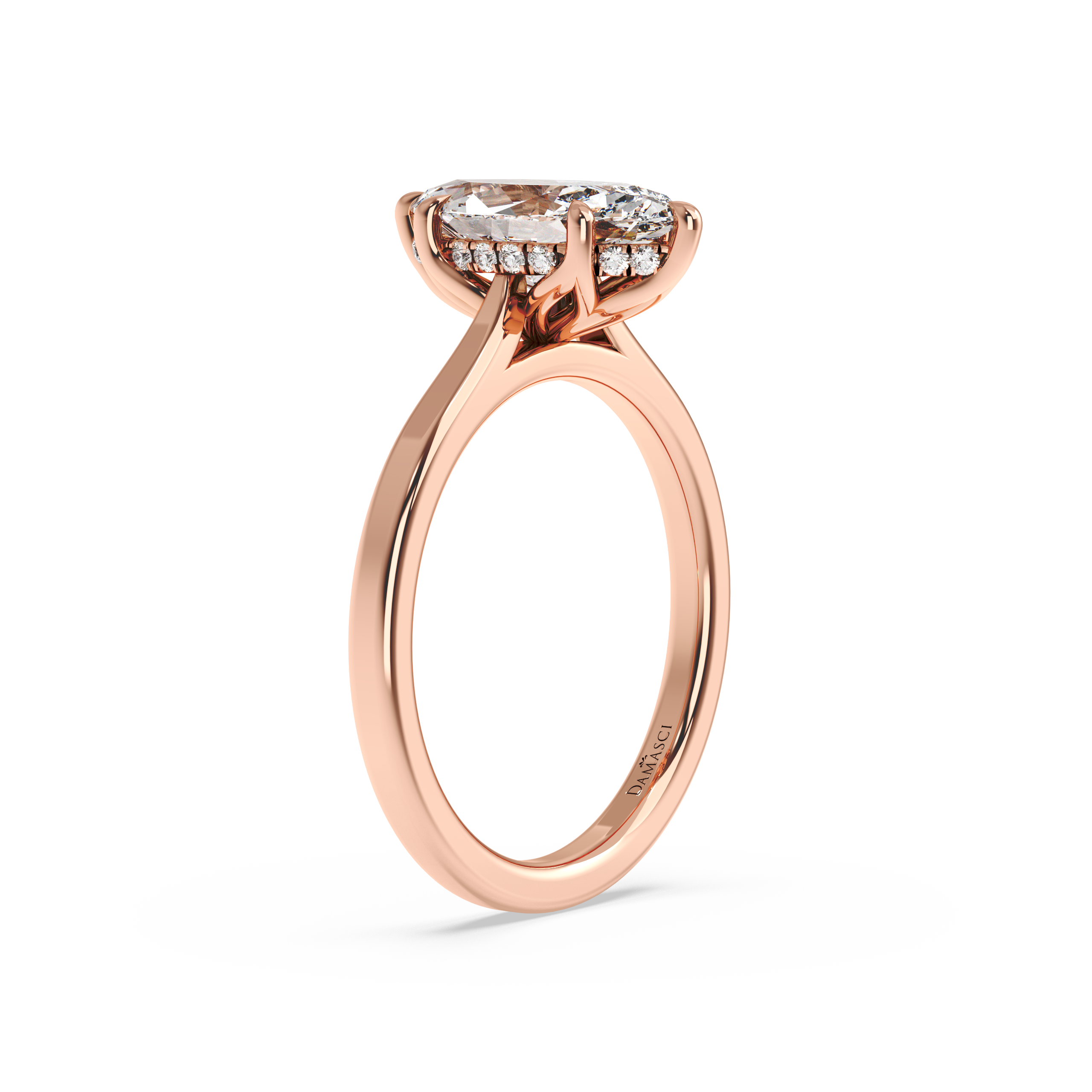 rose-marquise