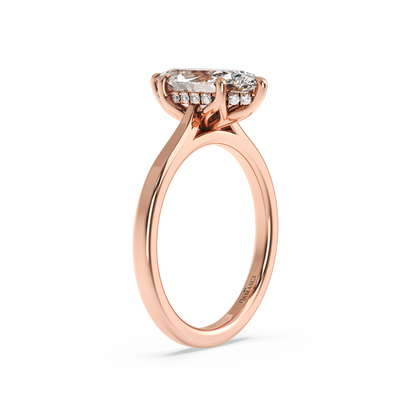 rose-marquise