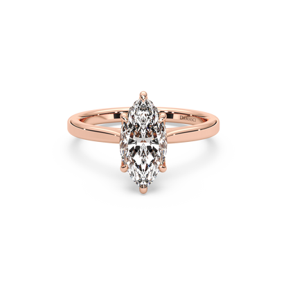 rose-marquise