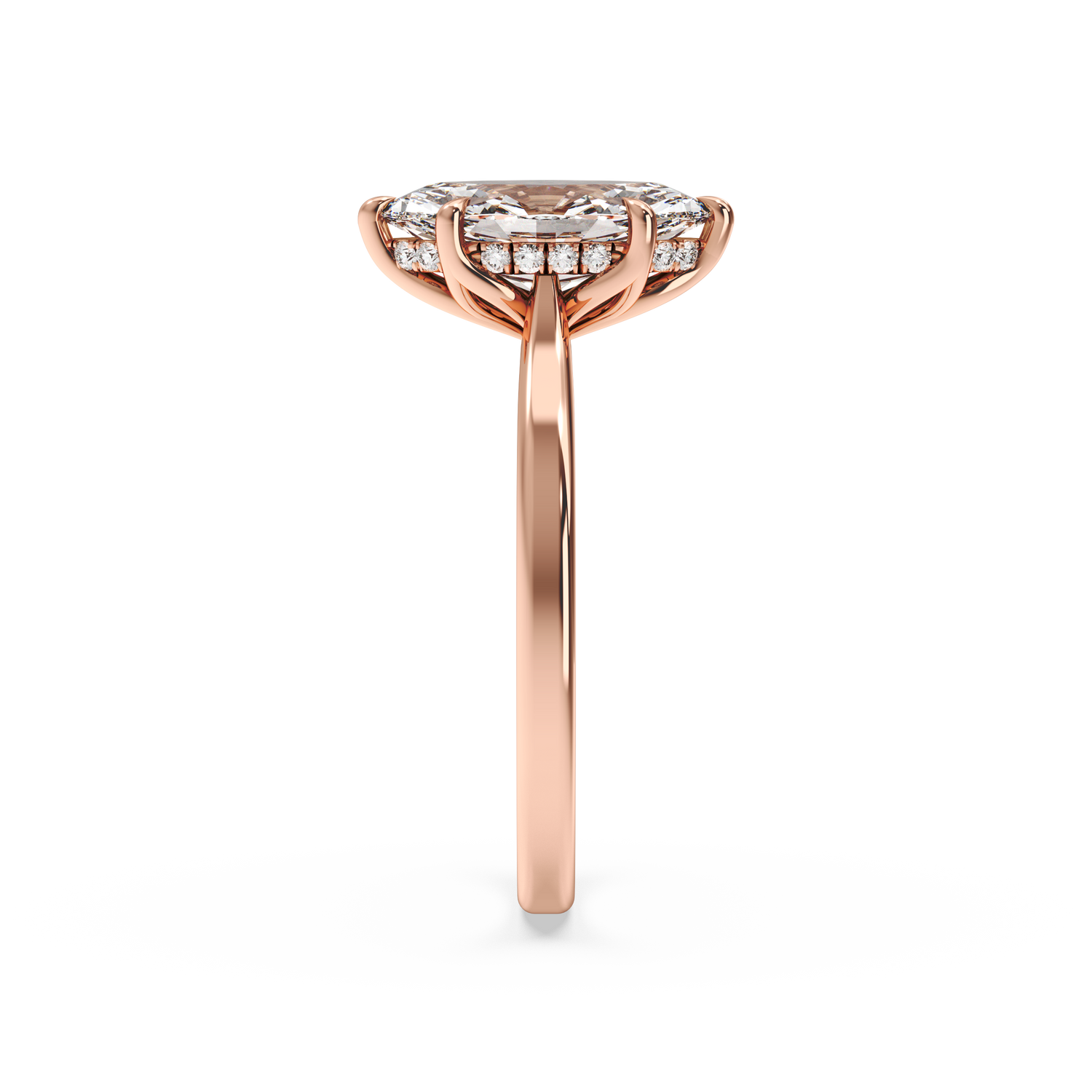 rose-marquise