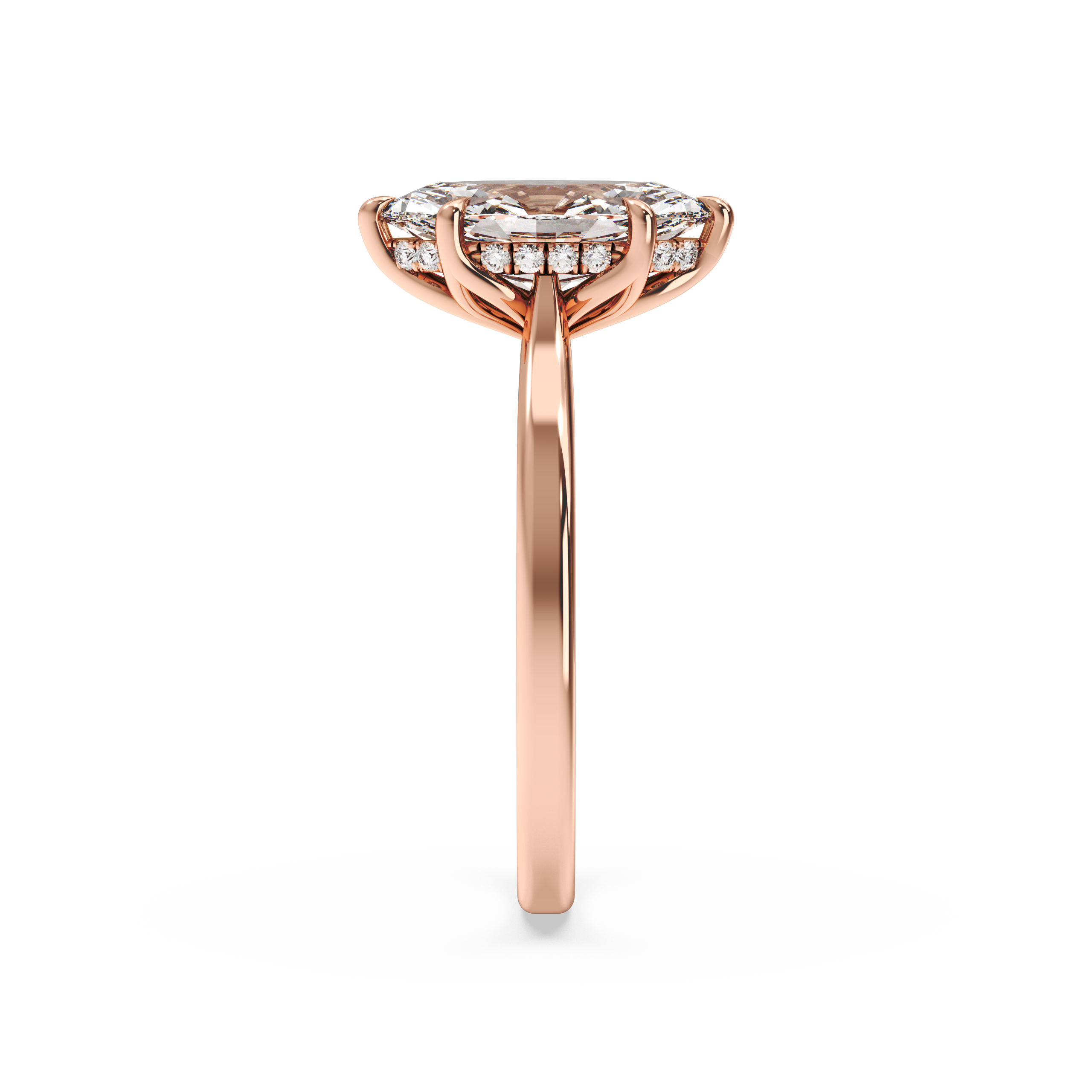 rose-marquise