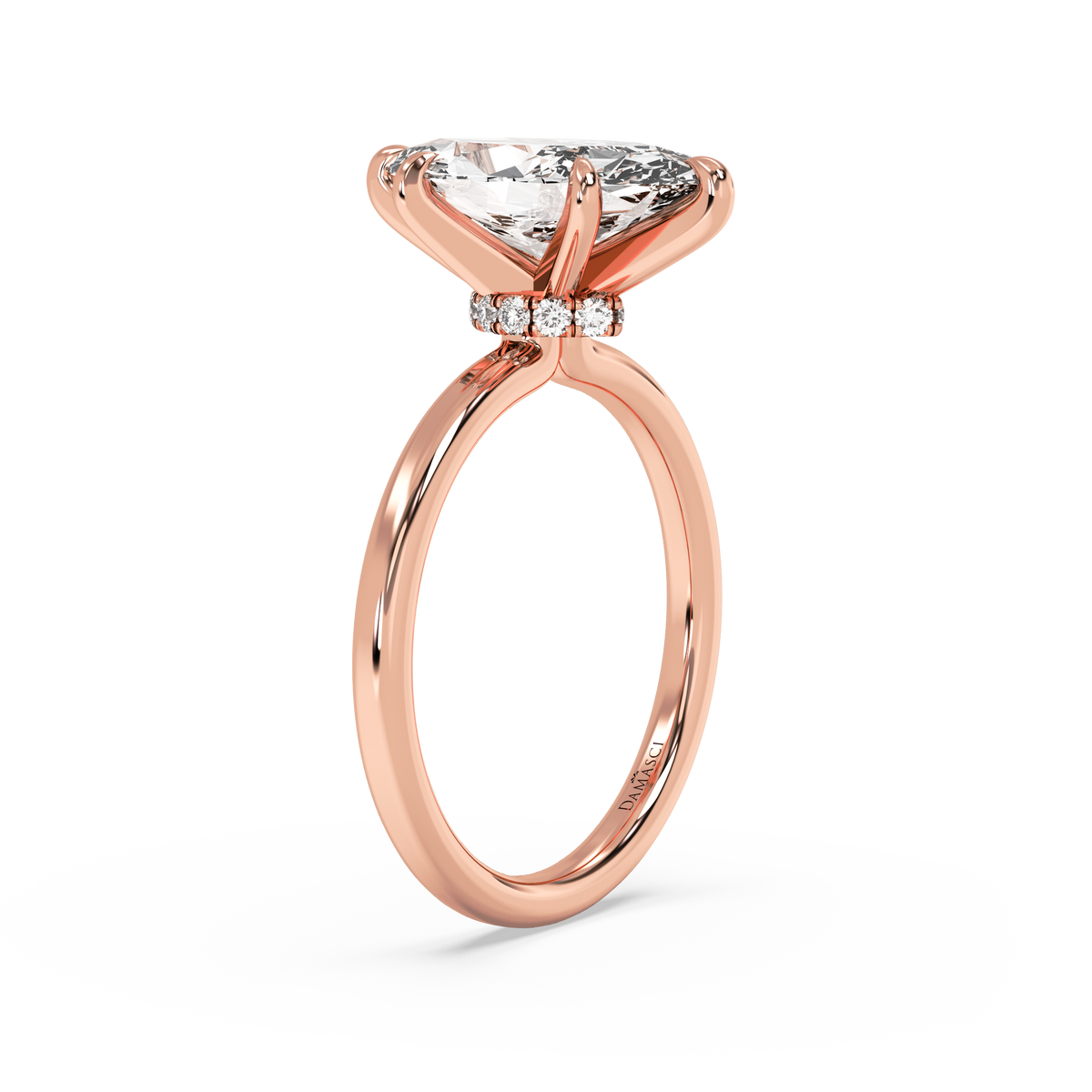 rose-marquise