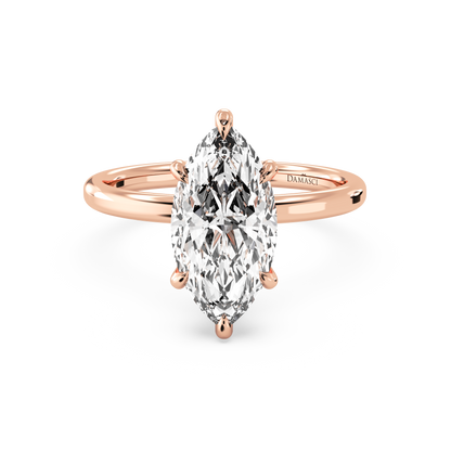 rose-marquise