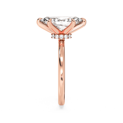 rose-marquise