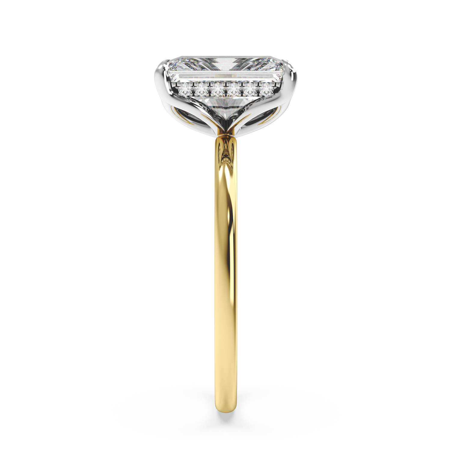 whiteyellow-radiant