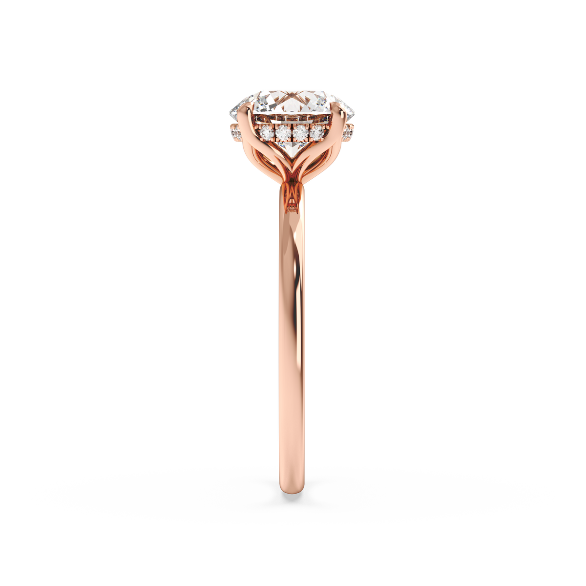rose-round