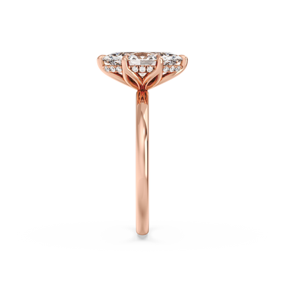 rose-marquise