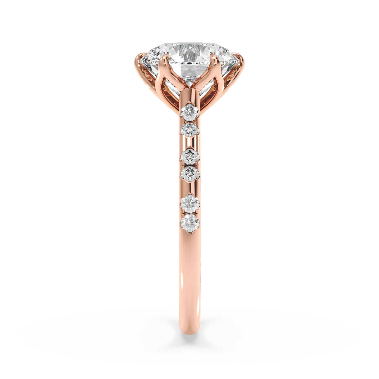 rose-round