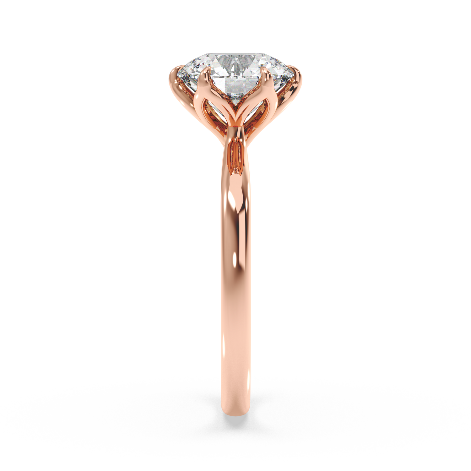 rose-round