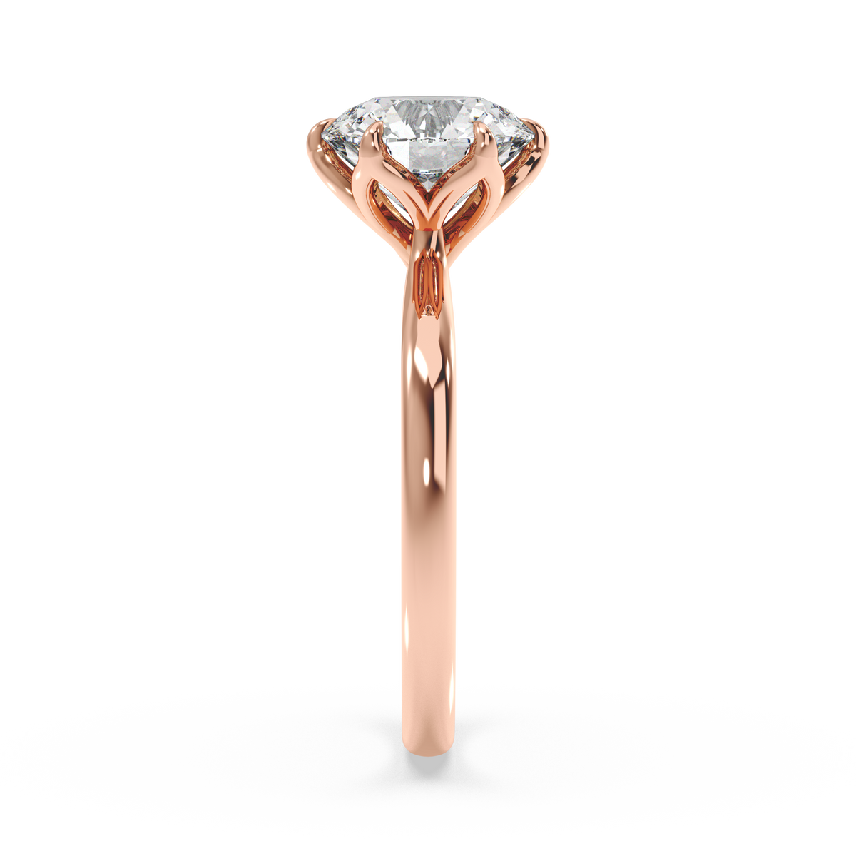 rose-round