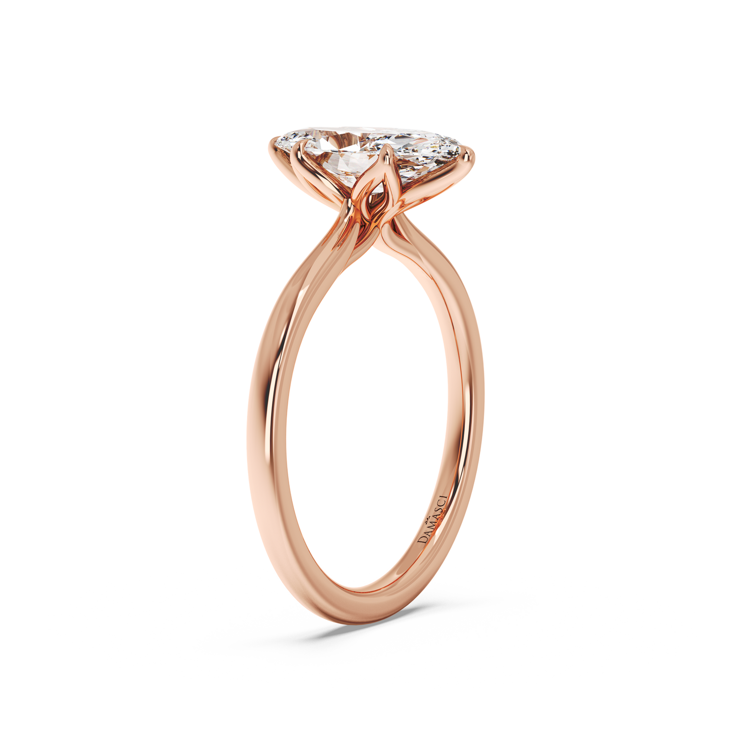 rose-marquise
