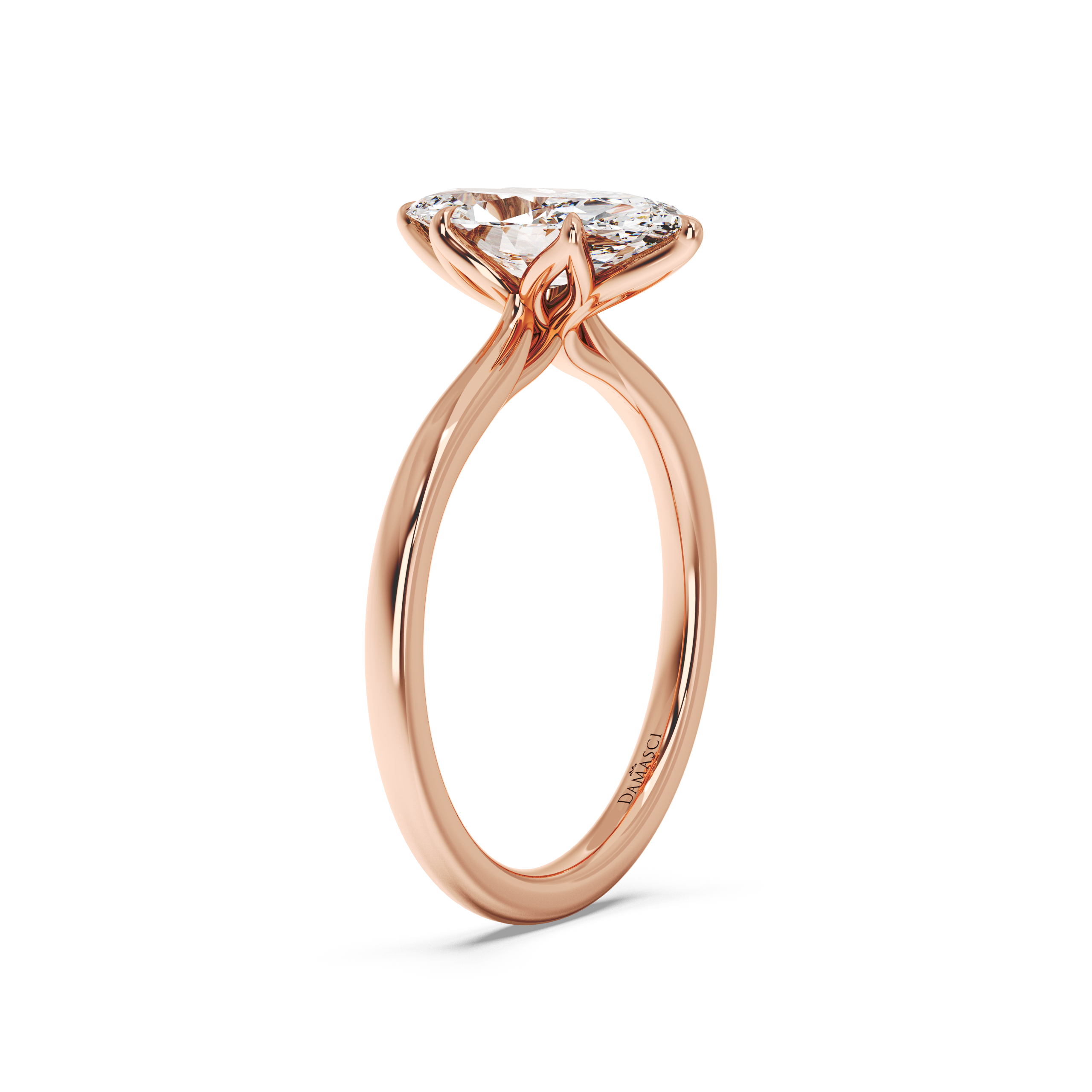 rose-marquise
