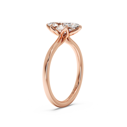 rose-marquise