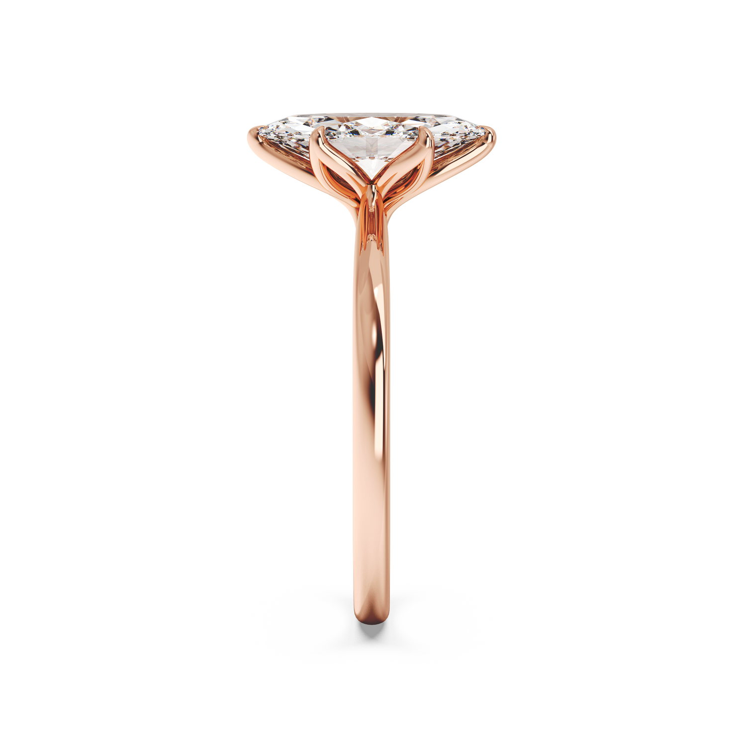 rose-marquise