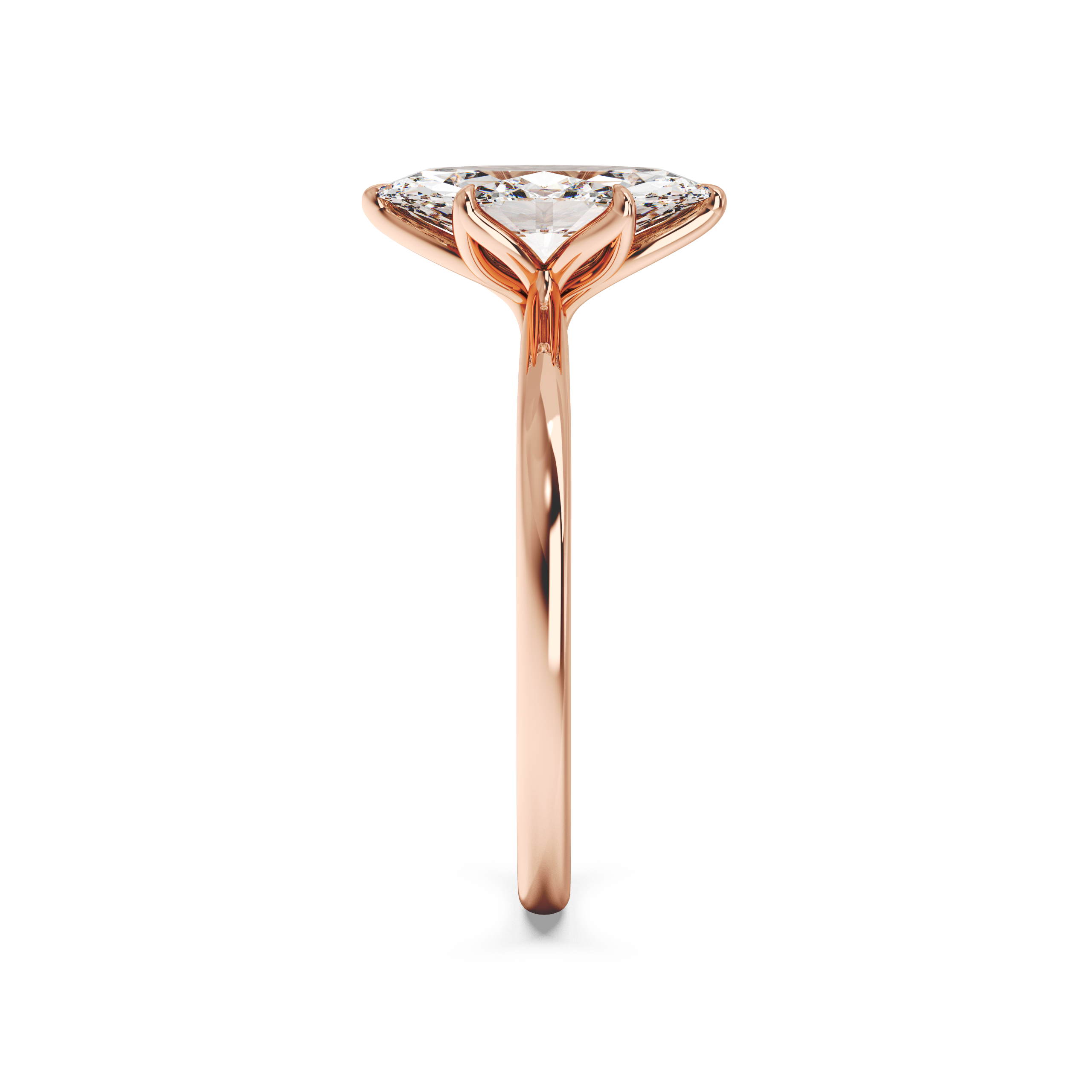 rose-marquise