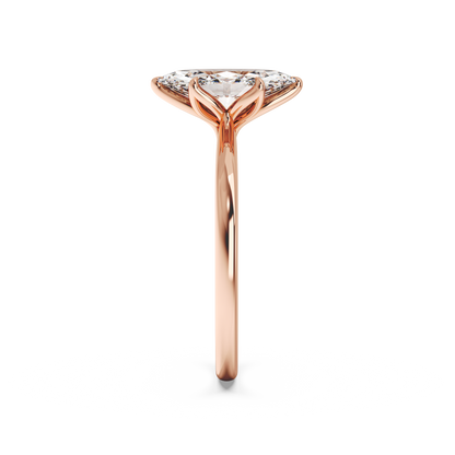 rose-marquise