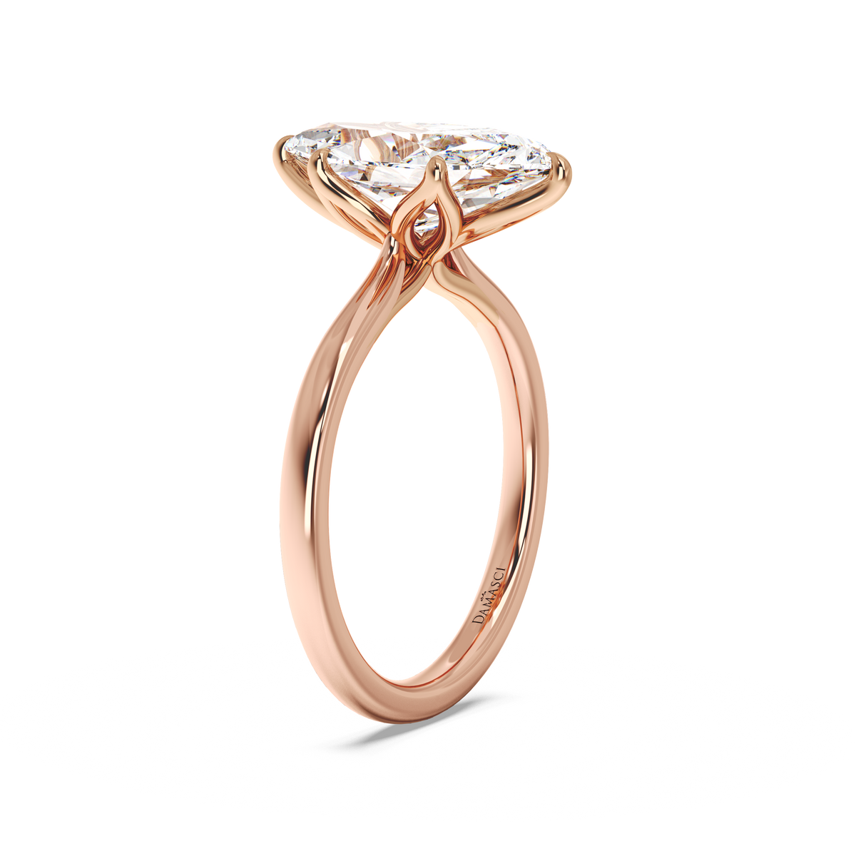 rose-dutch marquise