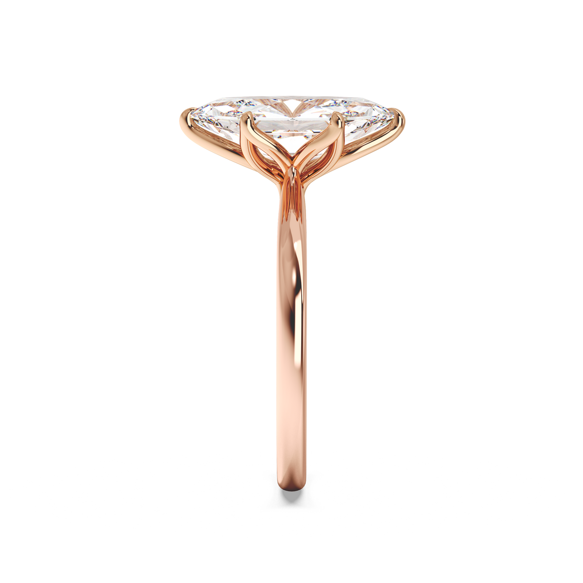 rose-dutch marquise