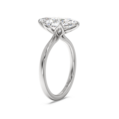 white-dutch marquise