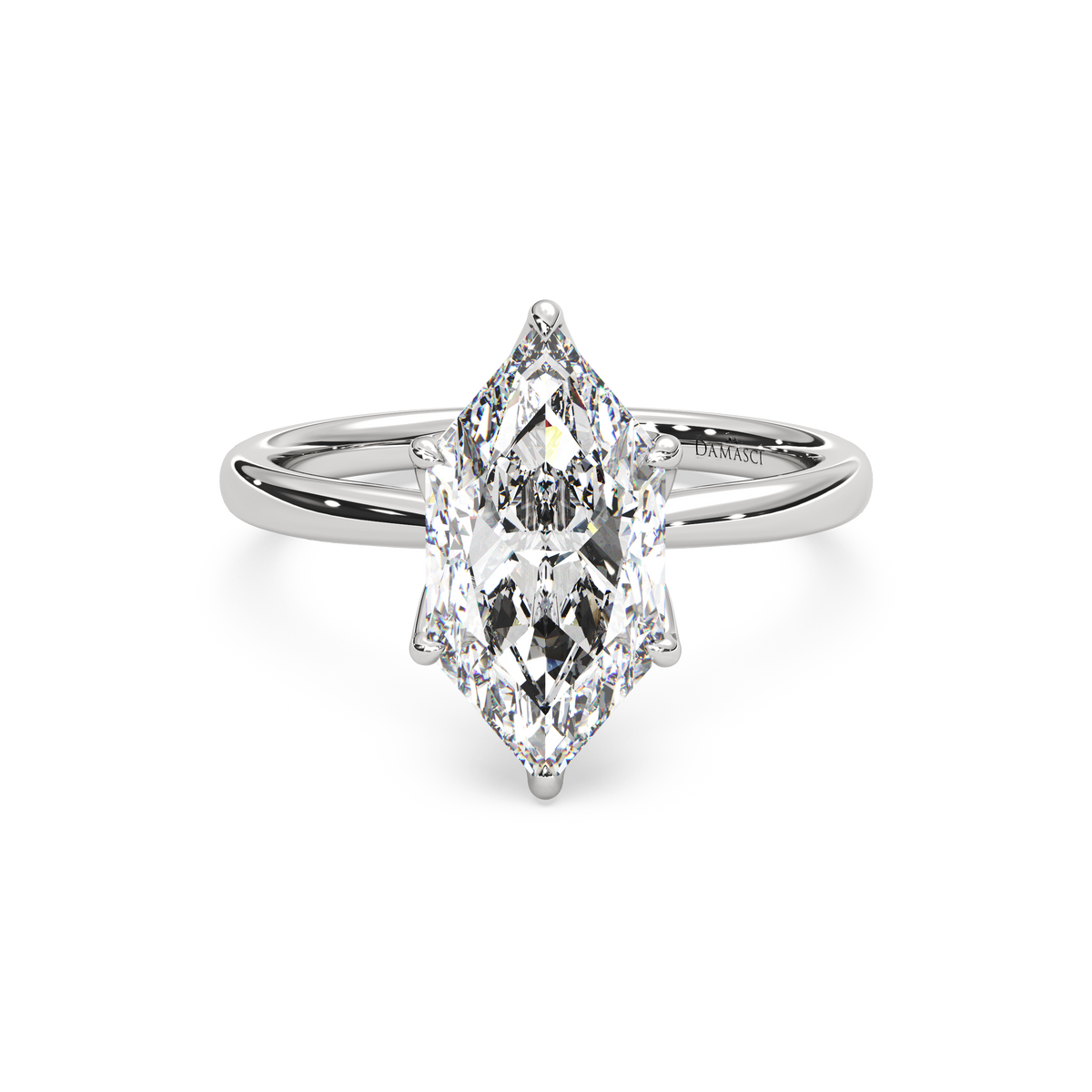 white-dutch marquise