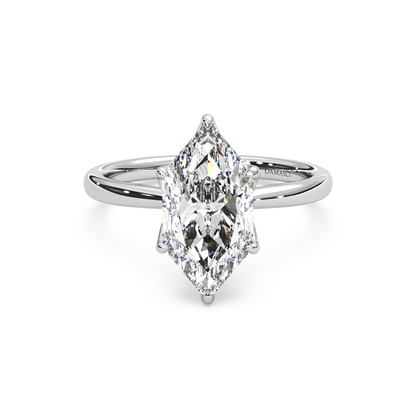 white-dutch marquise