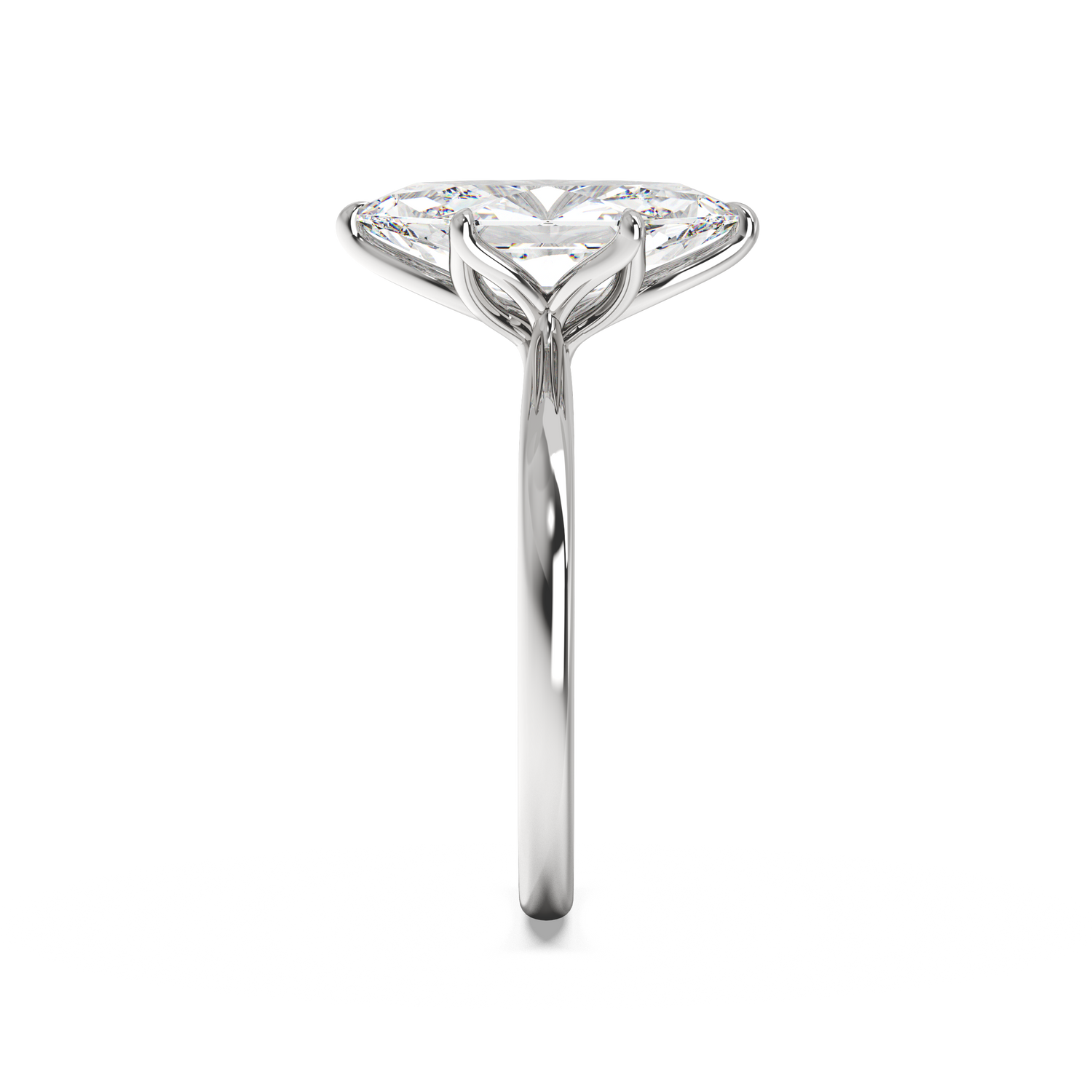 white-dutch marquise