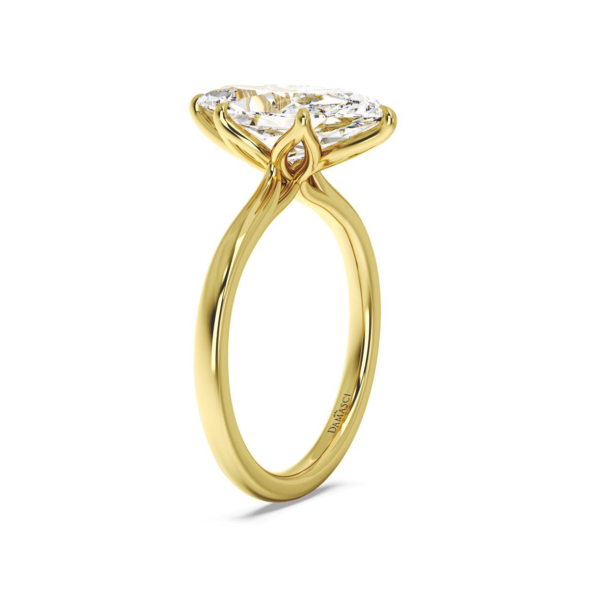 yellow-dutch marquise