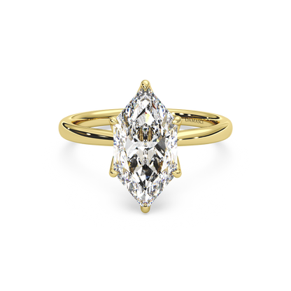 yellow-dutch marquise