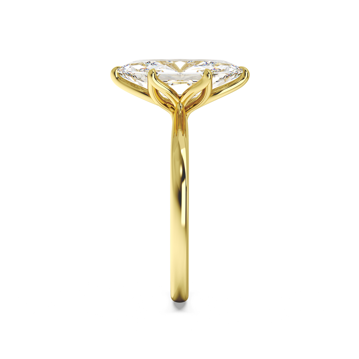 yellow-dutch marquise