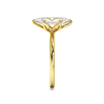 yellow-dutch marquise