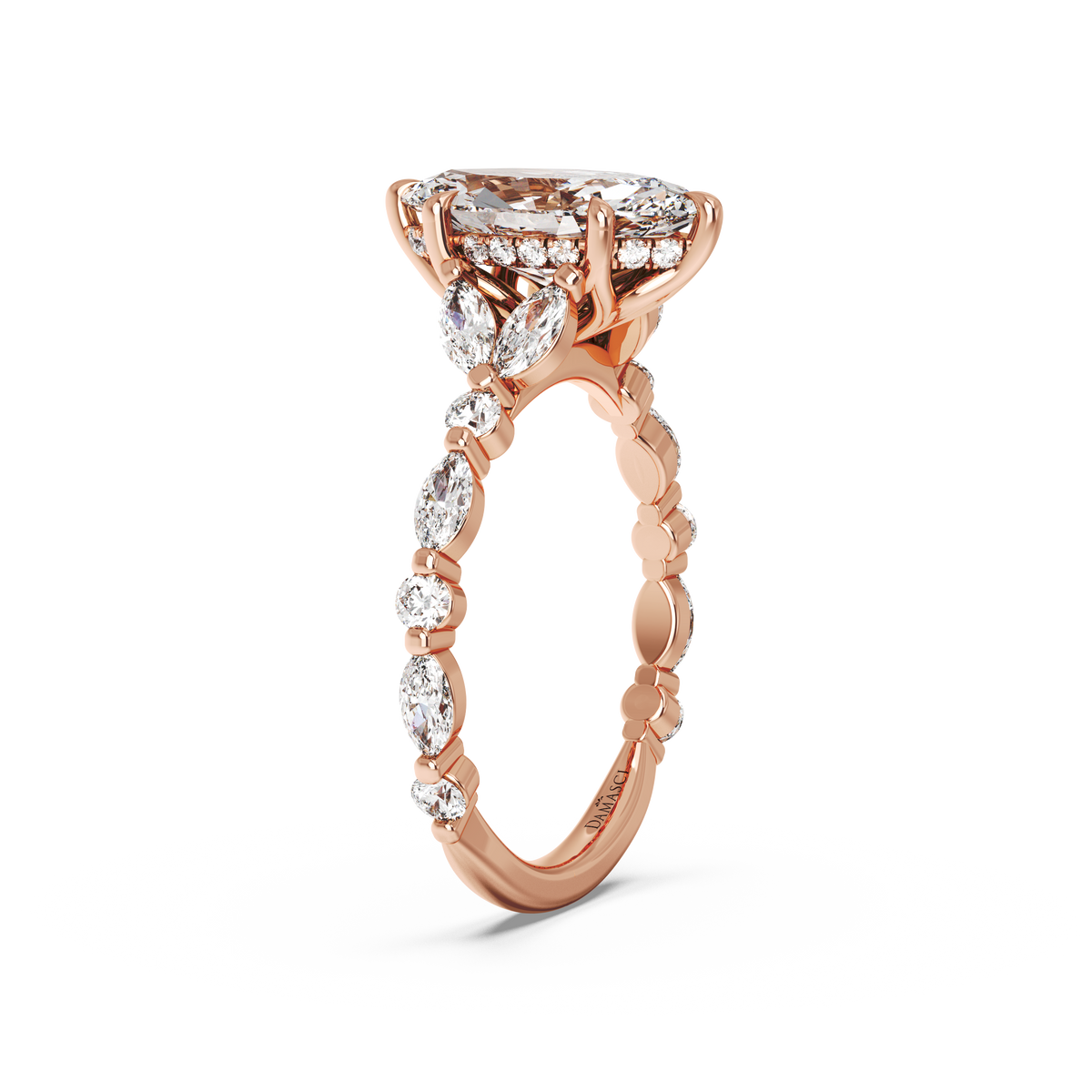 rose-marquise
