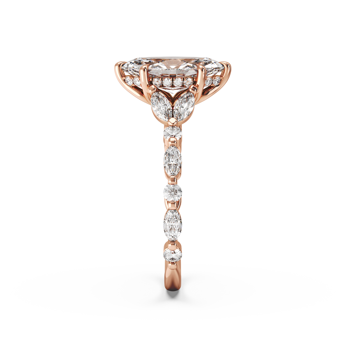 rose-marquise