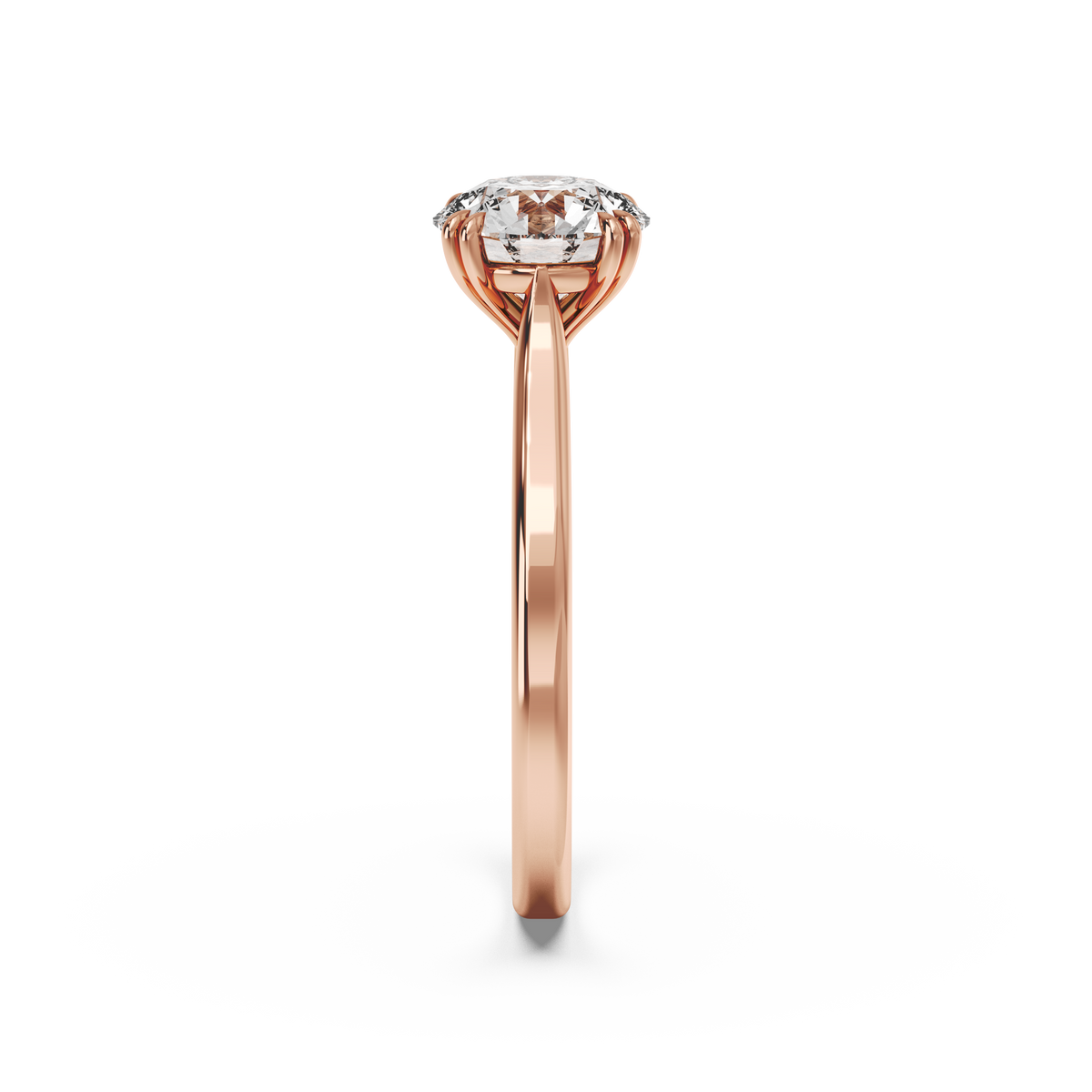 rose-round