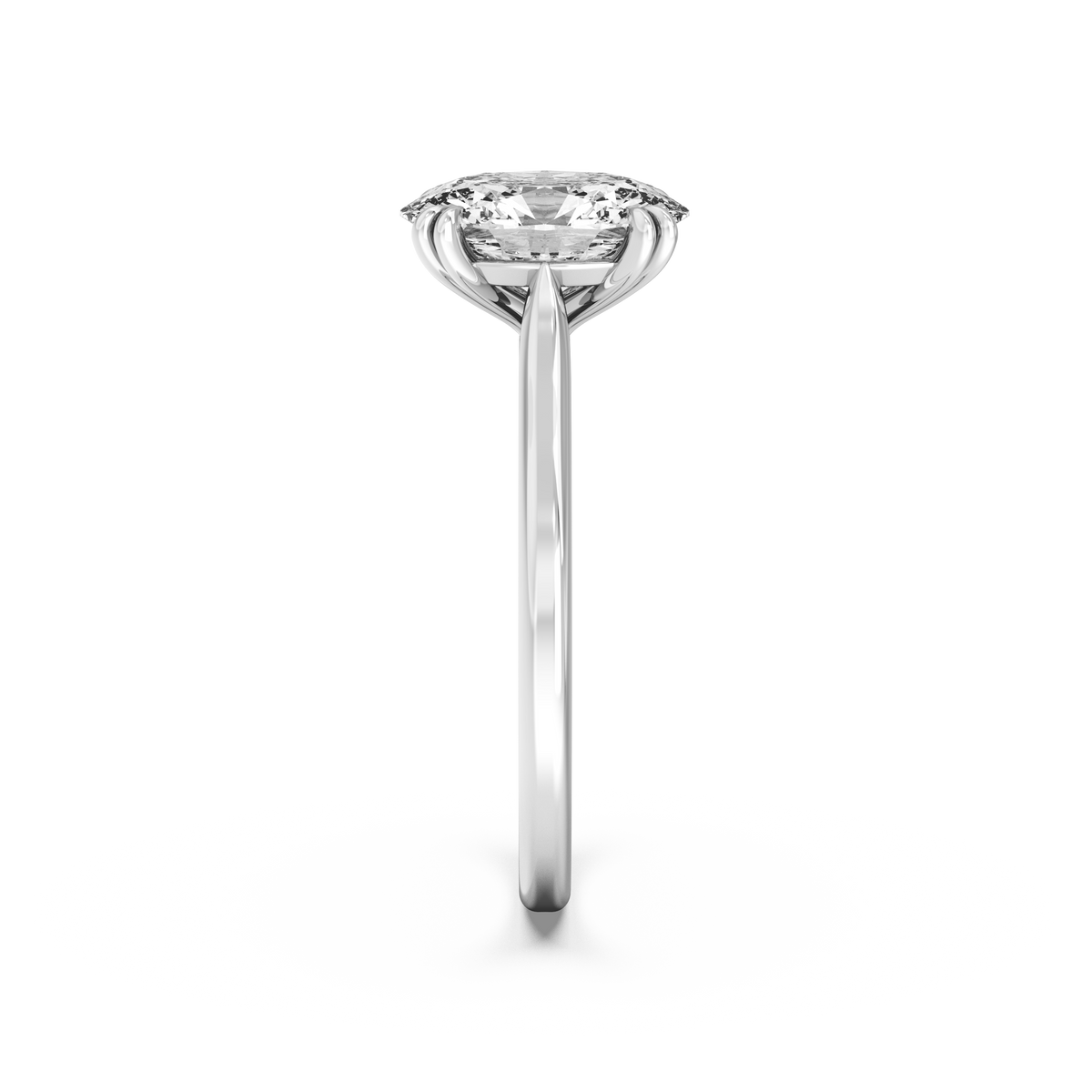 white-oval