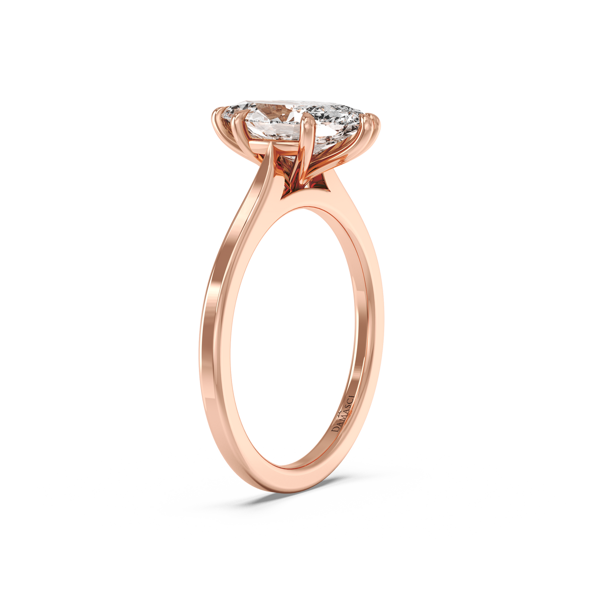rose-marquise
