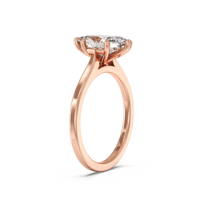 rose-marquise