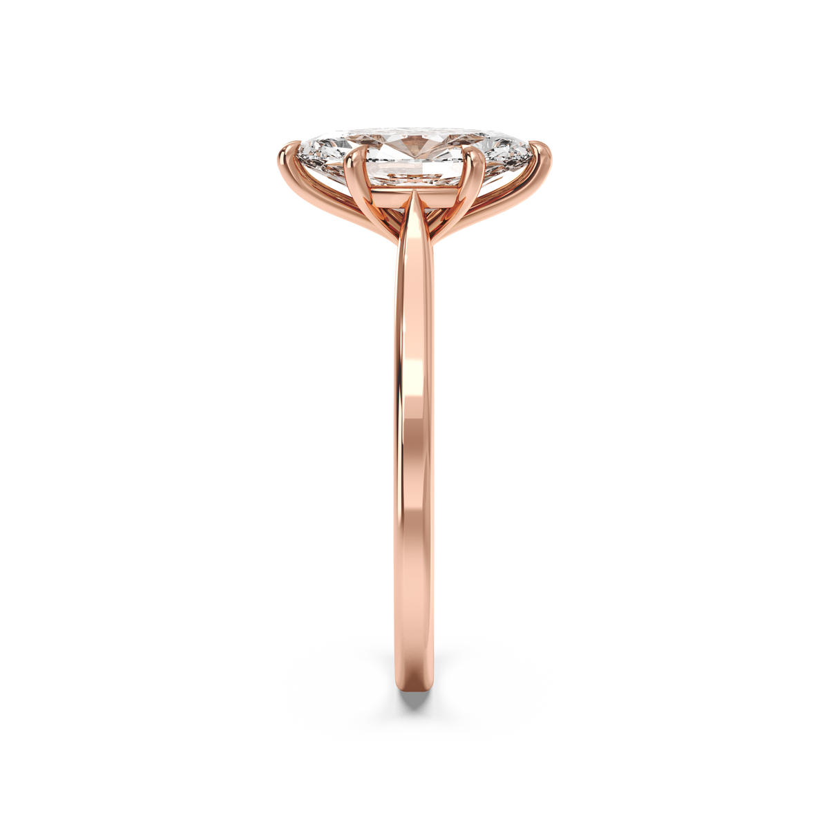 rose-marquise