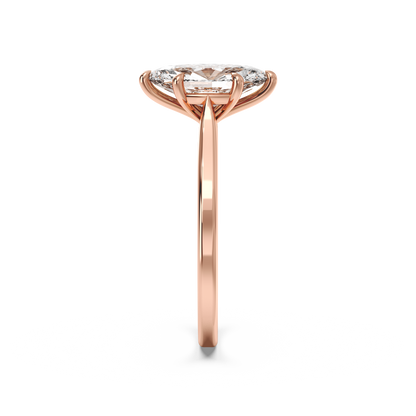 rose-marquise