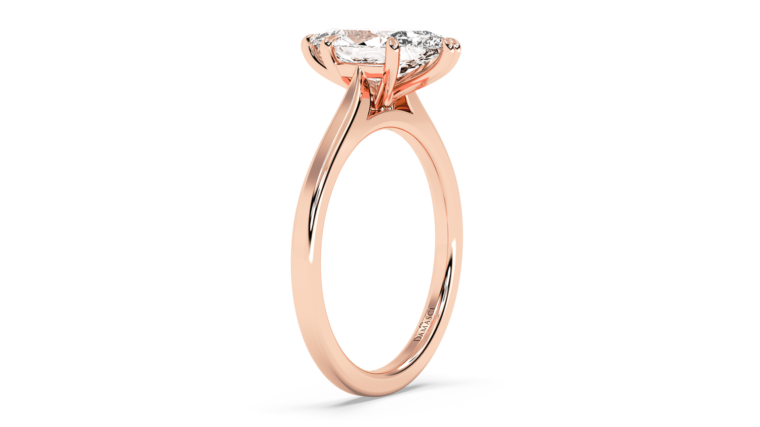 rose-marquise