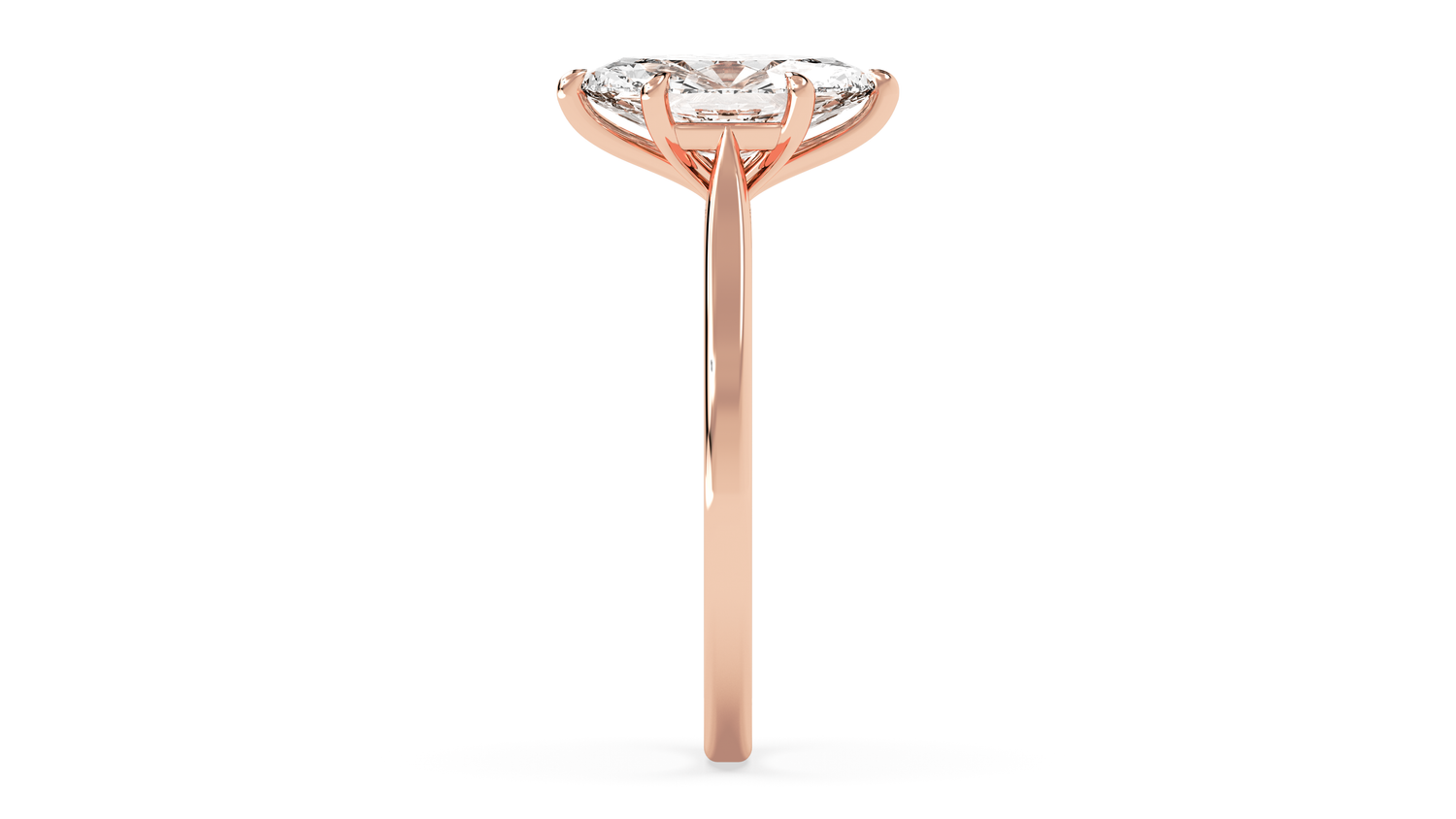 rose-marquise