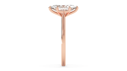 rose-marquise