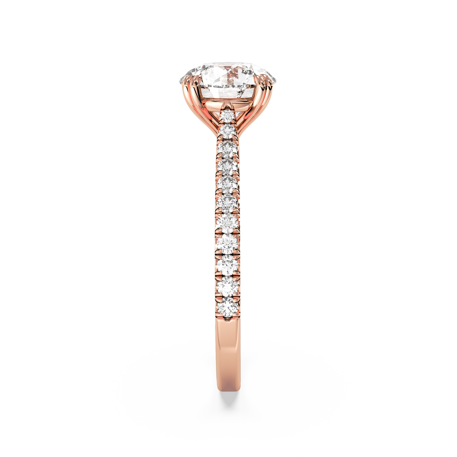 rose-round