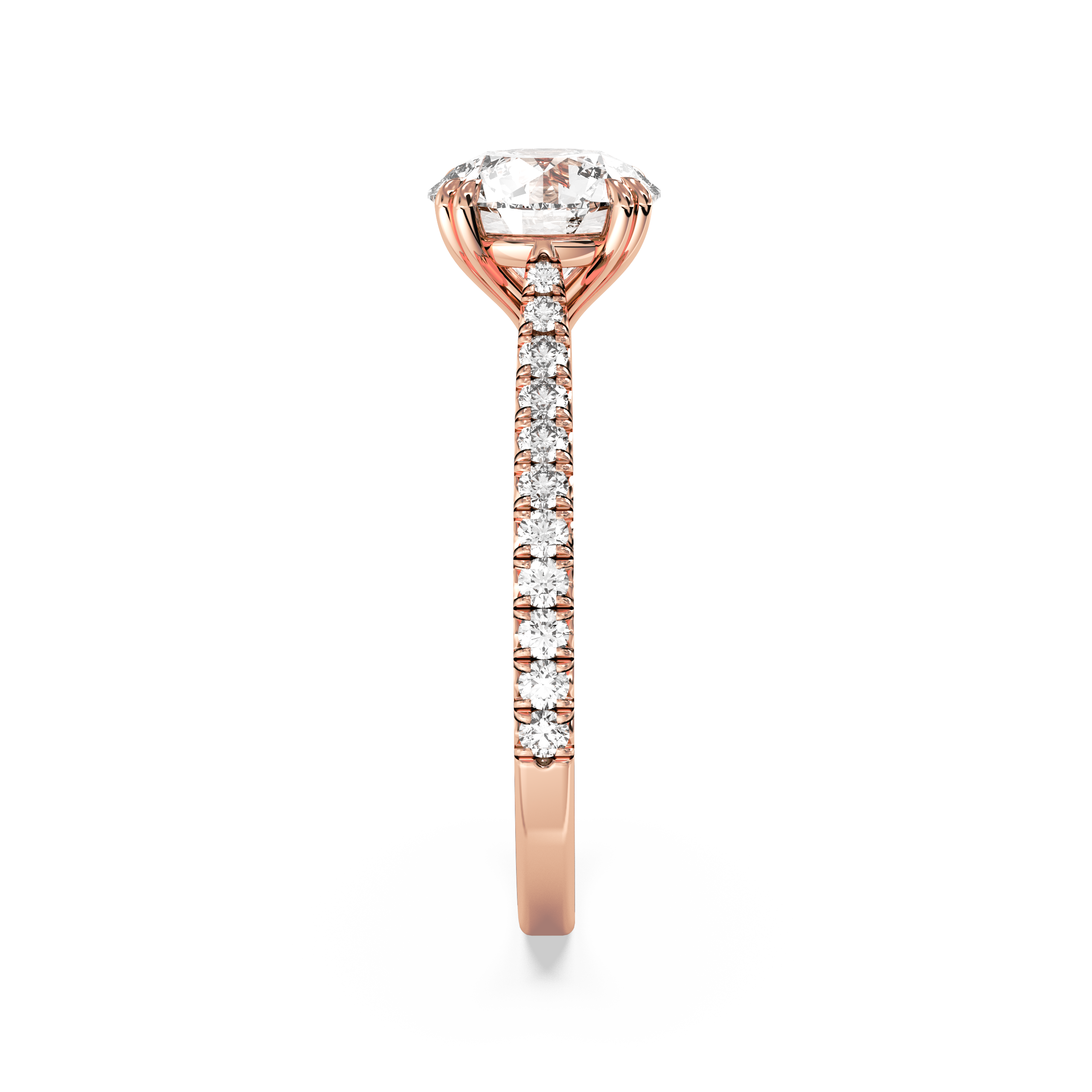 rose-round