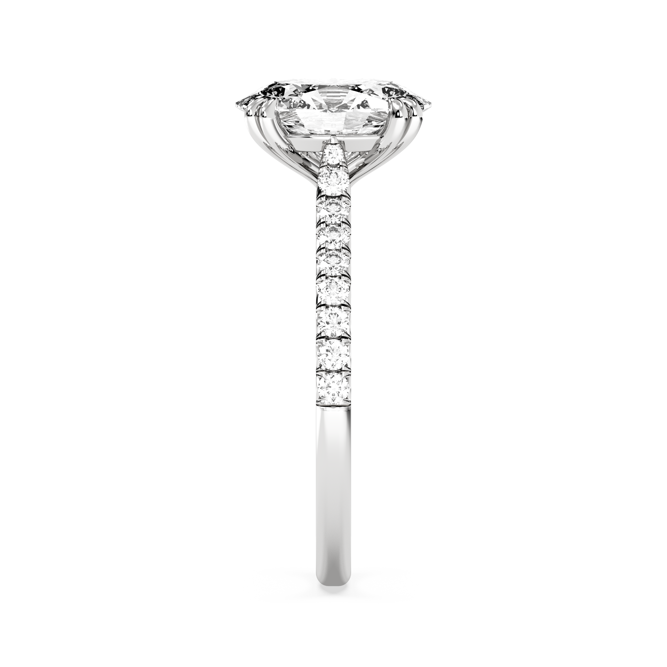 white-oval