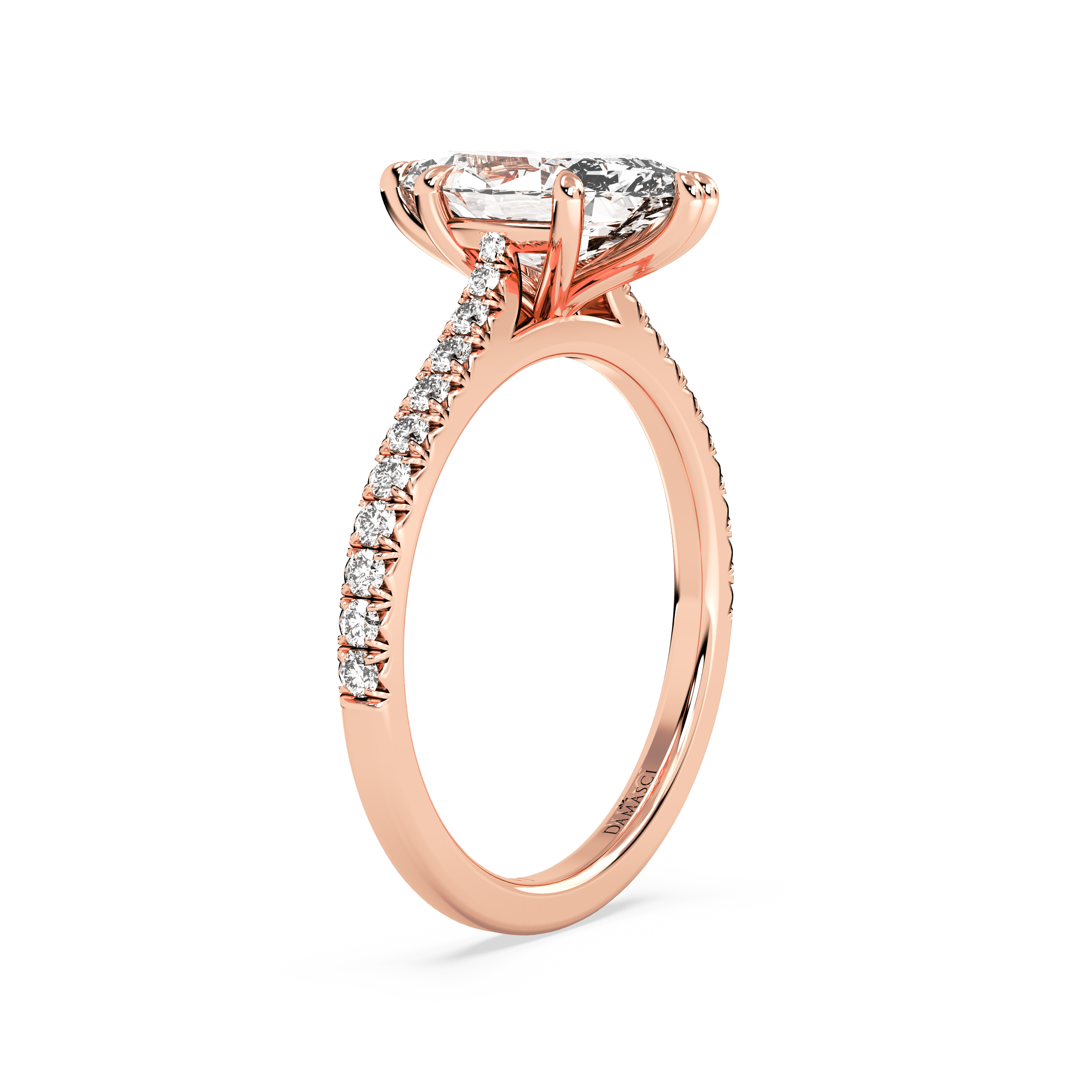 rose-marquise